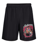 The Galloping Gang splash