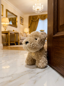 Bello | Pluche Hond | ROLLEMAN® Deurgewicht | Signature Edition | 30 × 16 × 17 cm