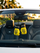 Punch Power Mini Boxing Gloves for Rear View Mirror